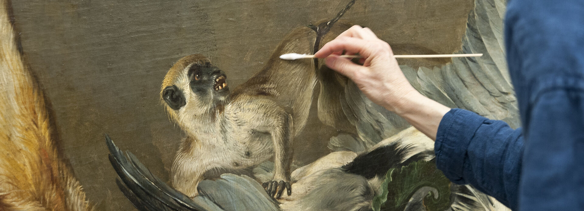 Förberedelse av Frans Snyders Stilleben med villebråd inför utställningen om Carl Gustaf Tessin i Paris 2016.