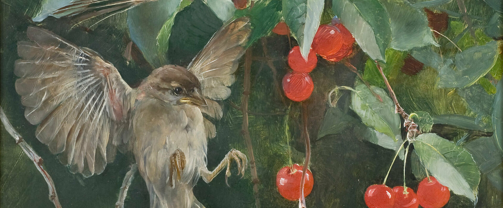 Äldre målning föreställande sparvar som flaxar runt och äter körsbär i ett körsbärsträd