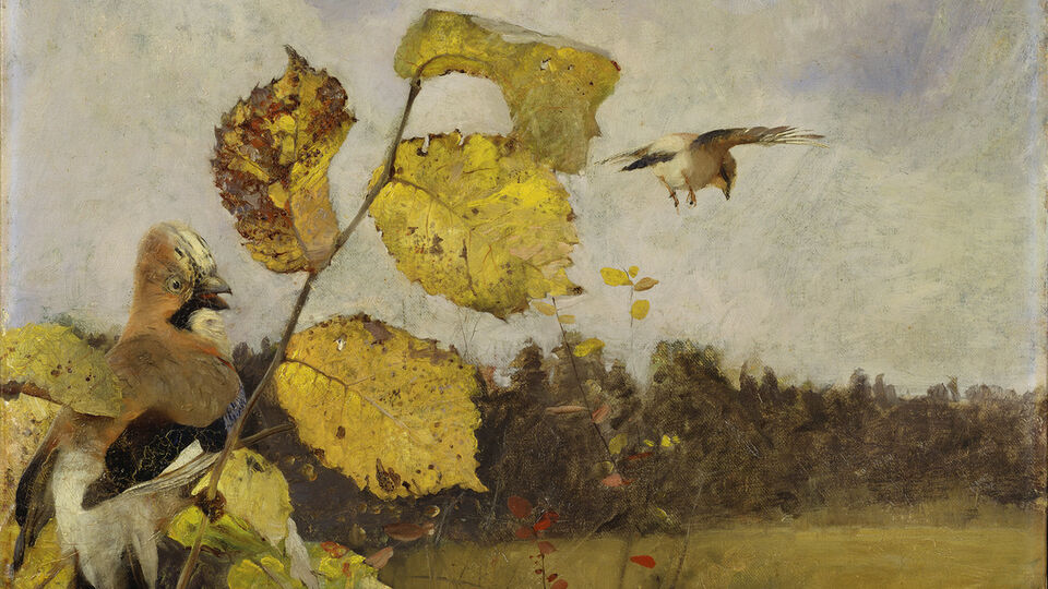 Bruno Liljefors, Nötskrikor