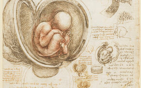 Tessinföreläsningen 2026: Dr. Carmen C. Bambach – Leonardo and the “Secrets of Women”