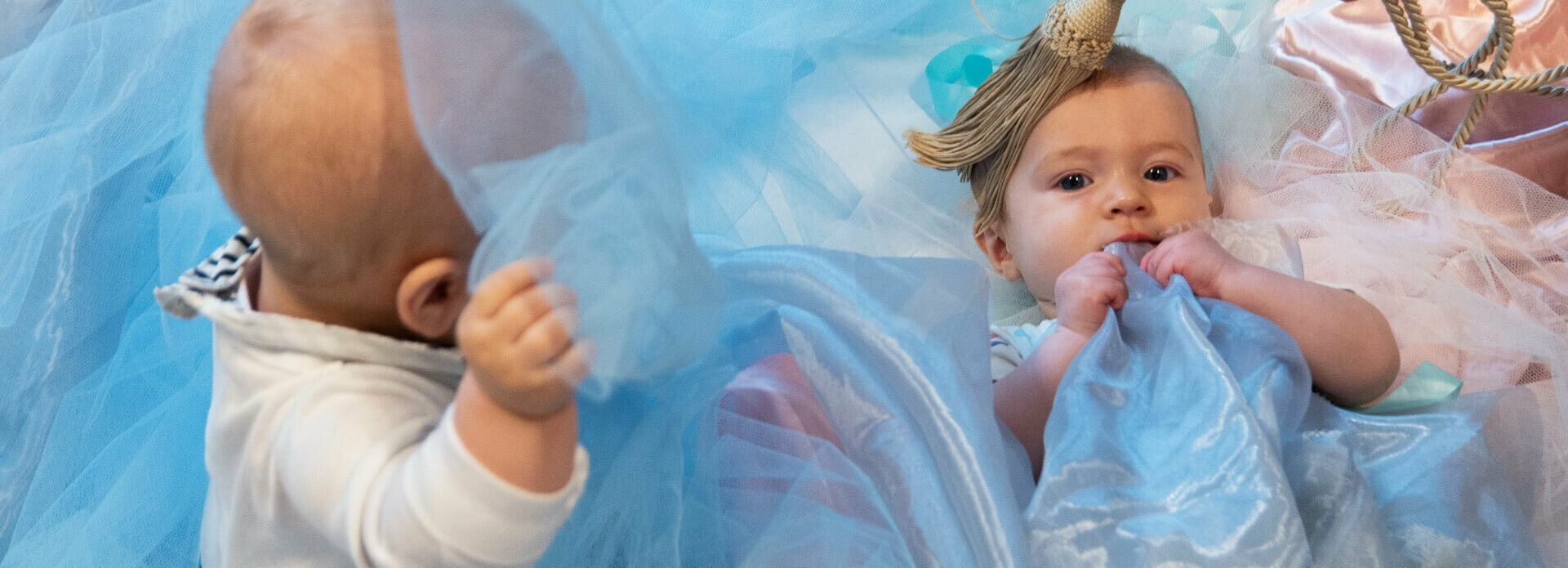 Bebisar som ligger i ett hav av ljusblått tyll.