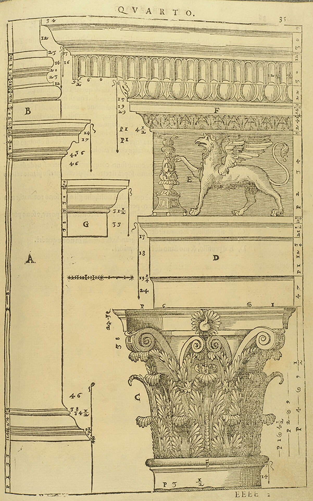 Andrea Palladio Kapitäl från I quattro libri dell'architettura