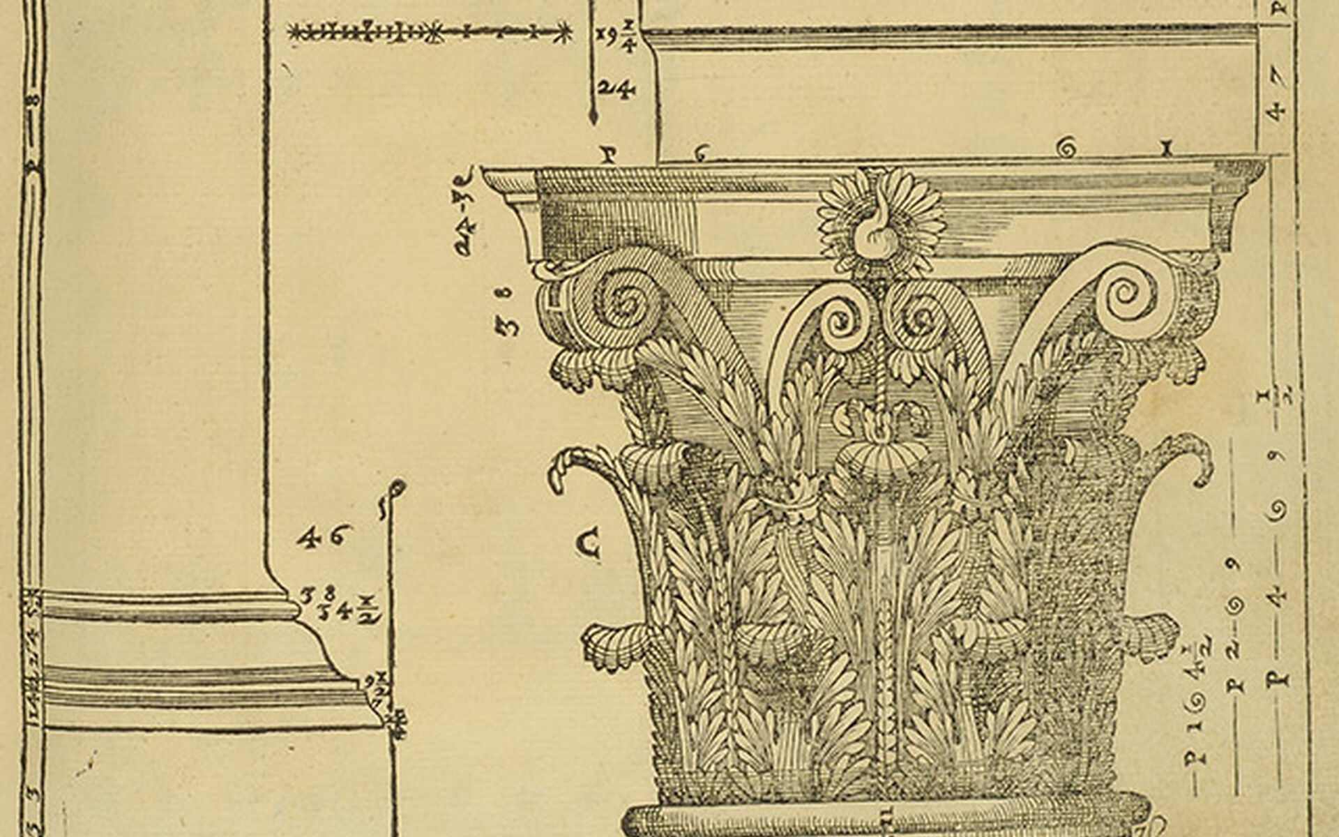 Andrea Palladio Kapitäl från I quattro libri dell'architettura