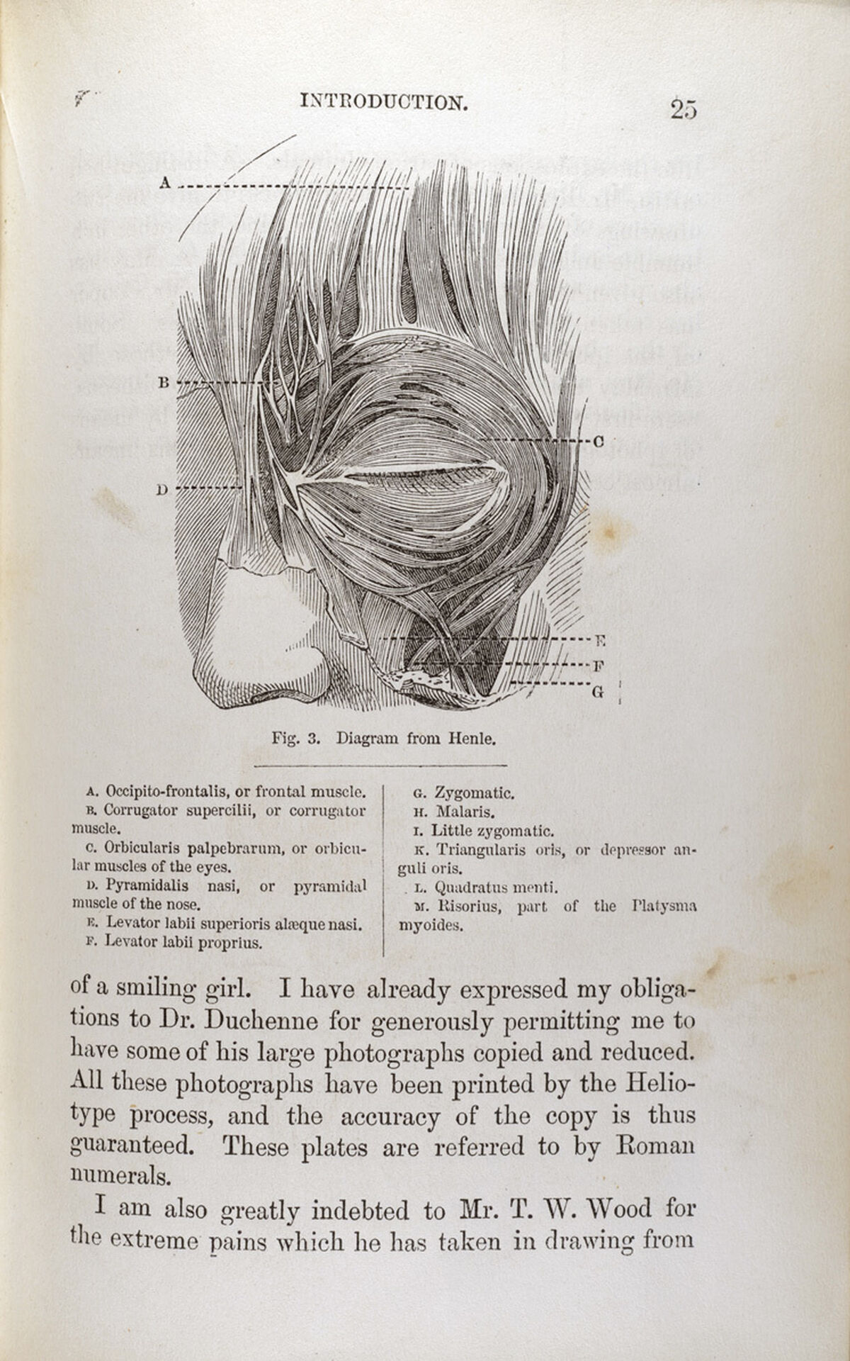 An anatomy illustration in Charles Dawrwin's book The Expression of the Emotions in Man and Animals.