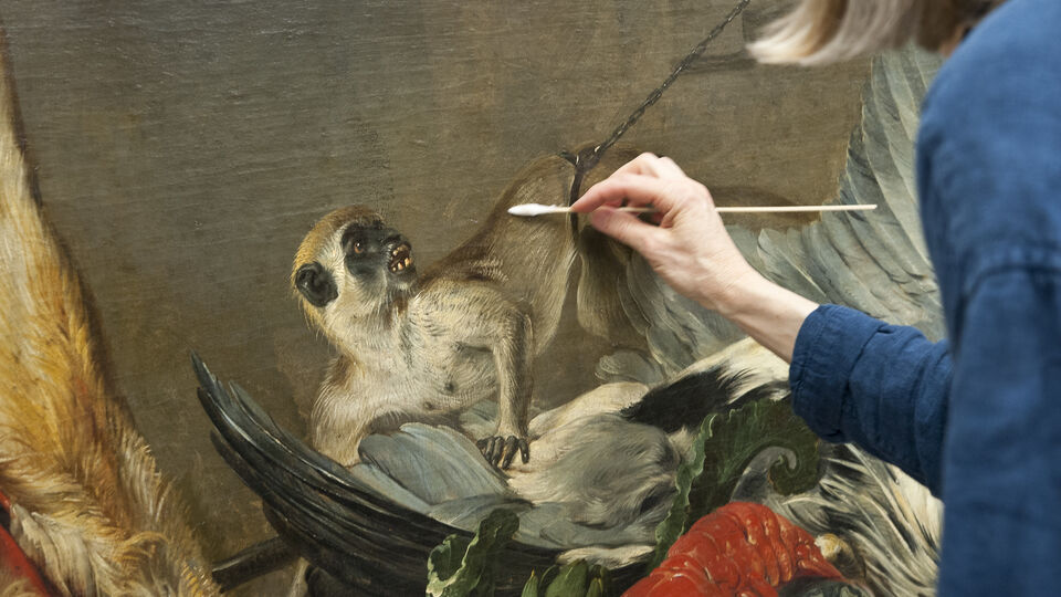 Förberedelse av Frans Snyders Stilleben med villebråd inför utställningen om Carl Gustaf Tessin i Paris 2016.