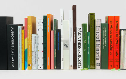 Ryggarna på en rad med uppställda böcker.