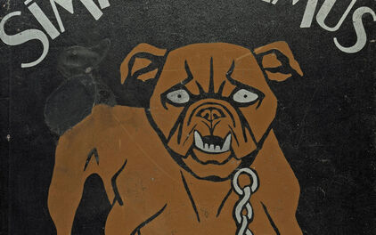 Simplicissimus, Cover