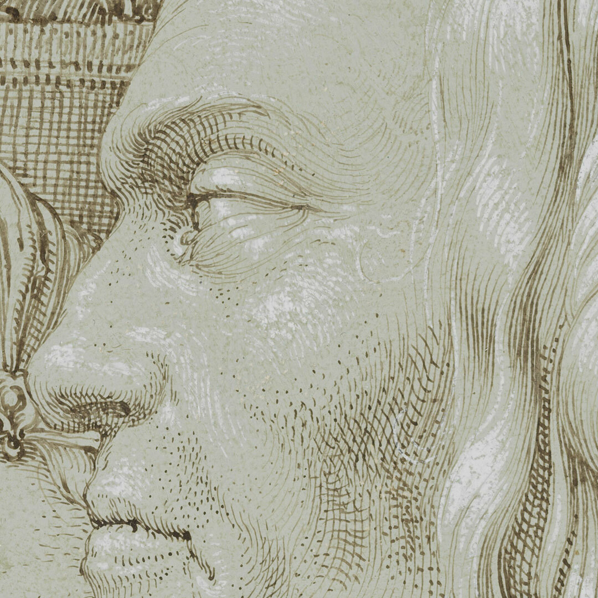 Teckning gjord med metallstift och bläck på grunderat papper föreställande en man i profil.
