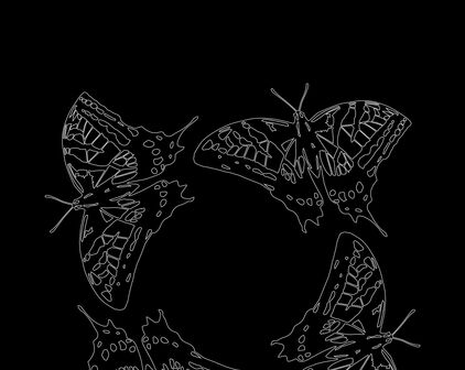 Vita tecknade fjärilar på svart bakgrund.